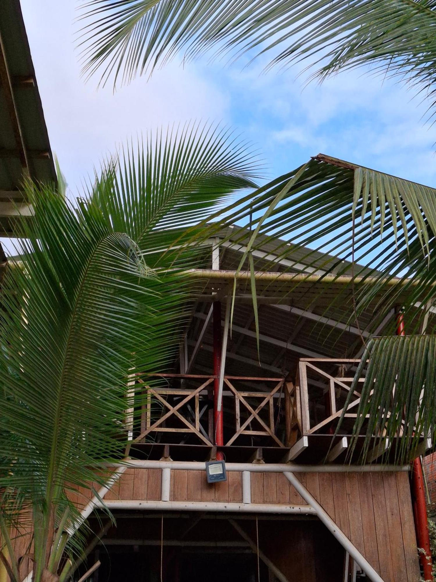 Posada El Acuario バイーア・ソラノ エクステリア 写真