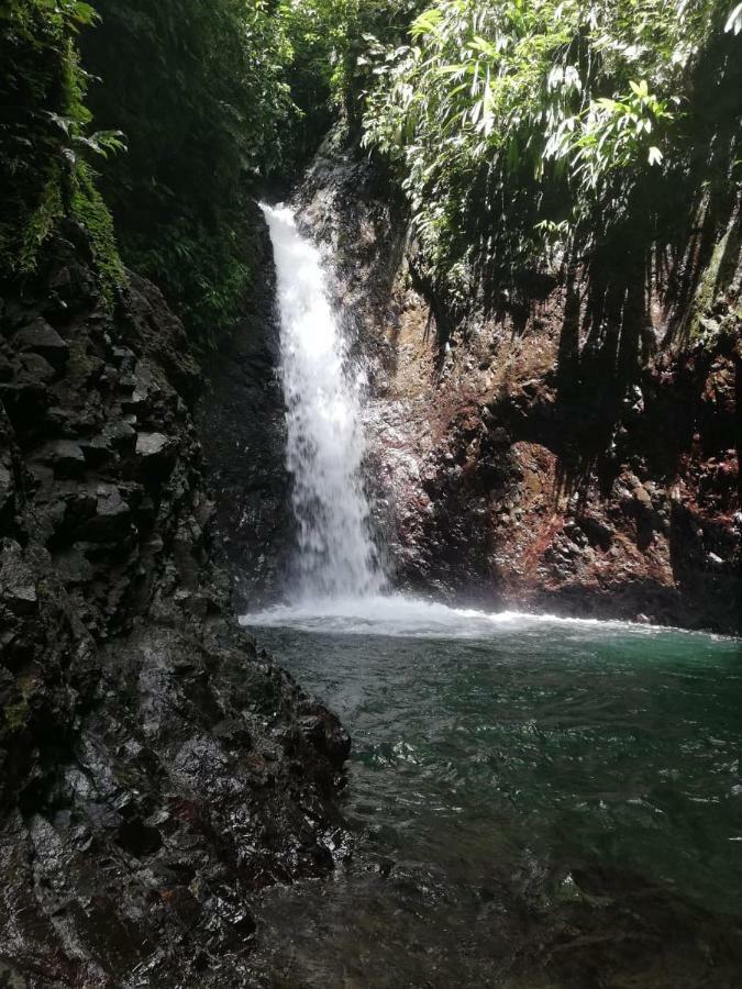 Posada El Acuario バイーア・ソラノ エクステリア 写真